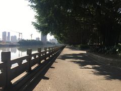 -光明港公园