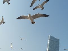 -星海广场