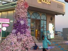 -琴岛之星摩天轮