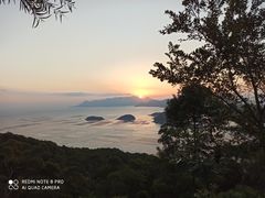 -花竹村