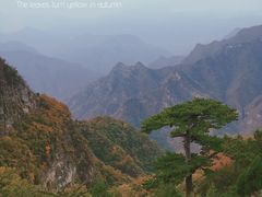 -圣莲山风景区