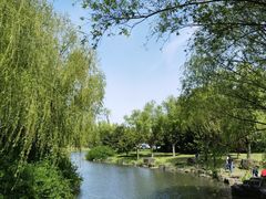 -上海滨江森林公园
