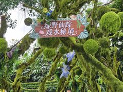 -观澜山水田园