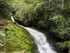 -鹿院坪生态旅游景区
