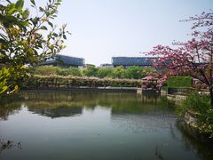 -嘉定紫藤园