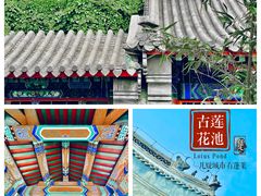 -莲池书院博物馆