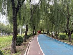 -太阳宫公园