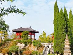 -徐州龟山景区