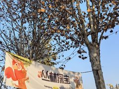 -HERRE·FARM 赫尔露营农场·团建聚会包场