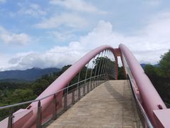 -金鸡山公园