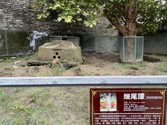 -水绘园