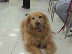 -美联众合动物医院·24h京西诊疗中心