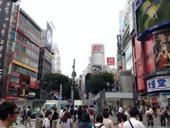 -涩谷区