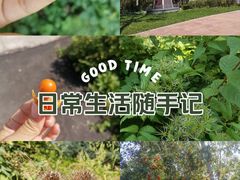 -黑龙江省森林植物园