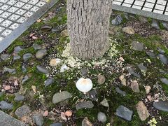 -杭州电子科技大学(下沙校区)