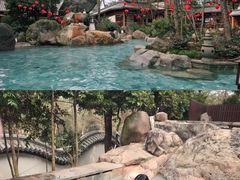-唐风温泉