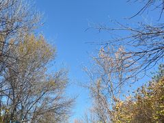 -森林公园(尖草坪区)