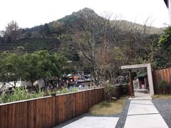 -灵光寺