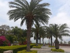 -老油饼酸菜汤(高铁和平店)