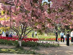 -石家庄市植物园