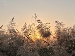 -郑东新区龙湖公共艺术中心