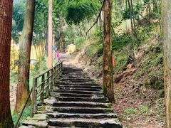 -东天目山风景区