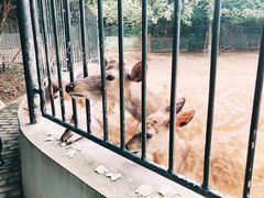 -无锡动物园·太湖欢乐园