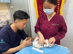 -瑞派·关忠动物医院(国瑞店)