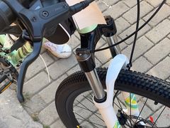 -道路口单车爱瓦士dahon大行