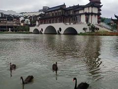 -长兴太湖图影湿地文化园