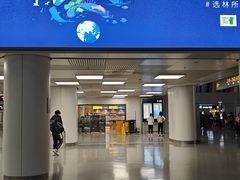 -郑州新郑国际机场-T2航站楼