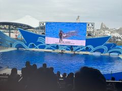 -上海海昌海洋公园