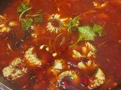 -重庆乌鱼庄·龙滋鲜(青羊大道店)