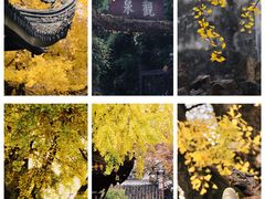 -惠山古镇·寄畅园