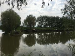 -白渔泡湿地公园