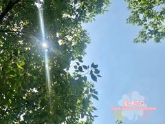 -竹涧府