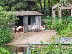 -红梅公园