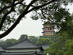 -浙江西子宾馆·牡丹厅
