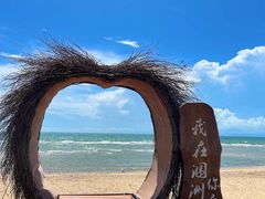 -贝壳沙滩