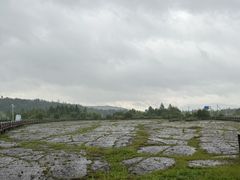 -粘豆包铁锅炖二部(温泉街店)
