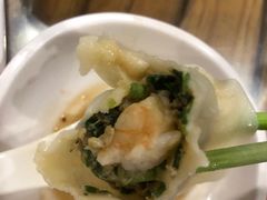九鲜饺子-宝源饺子(麦子店街店)