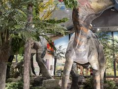 -湖南省地质博物馆