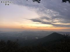 -紫金山山顶公园
