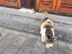 -陈记卤煮小肠