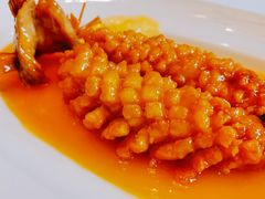 松鼠桂鱼-福1088
