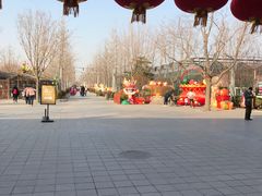 -南宫五洲植物乐园