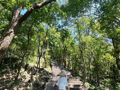 -紫金山天文台