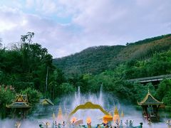 -西双版纳原始森林公园