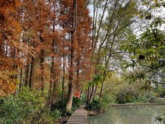 -桤木河湿地公园