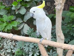 -南宫五洲植物乐园